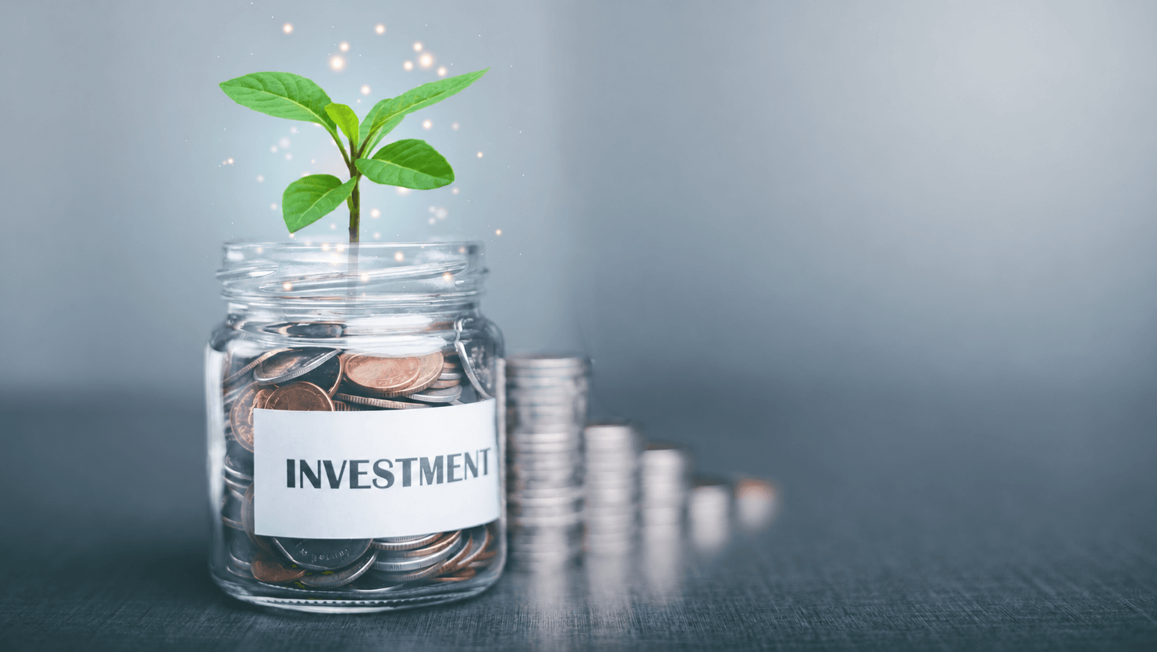 How to Choose the Mutual Fund to Invest in SIP for Better Returns?